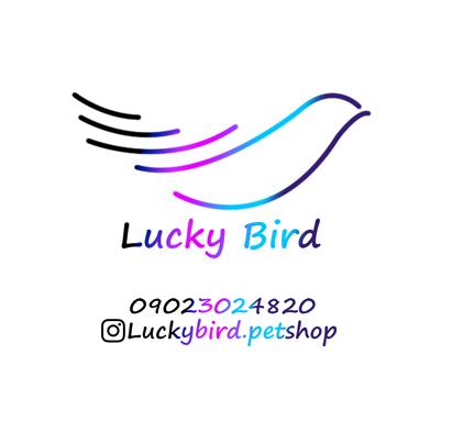 پت شاپ لاکی برد